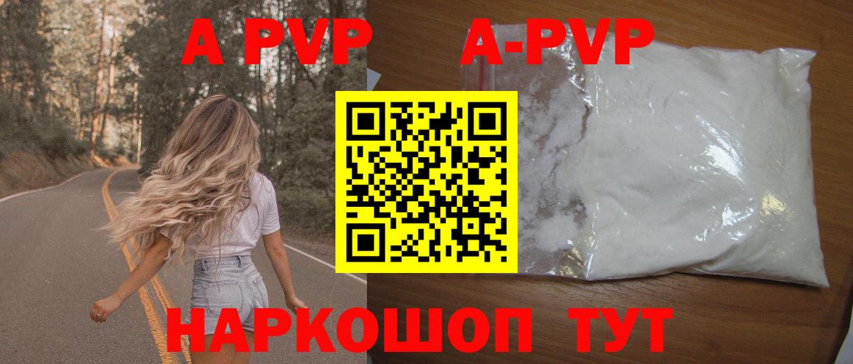 Alfa_PVP СК КРИС Коряжма