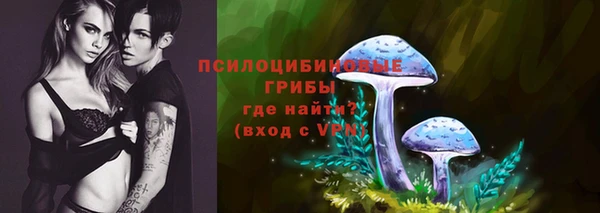 МДПВ Дмитровск