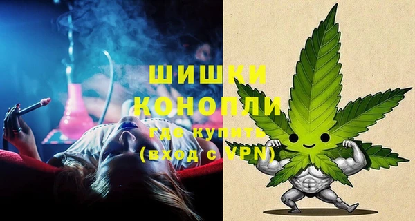 ПСИЛОЦИБИНОВЫЕ ГРИБЫ Дмитров