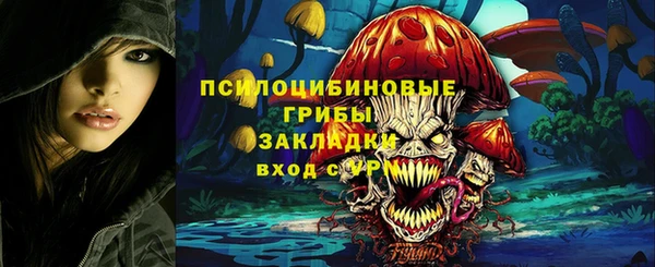 ПСИЛОЦИБИНОВЫЕ ГРИБЫ Дмитров
