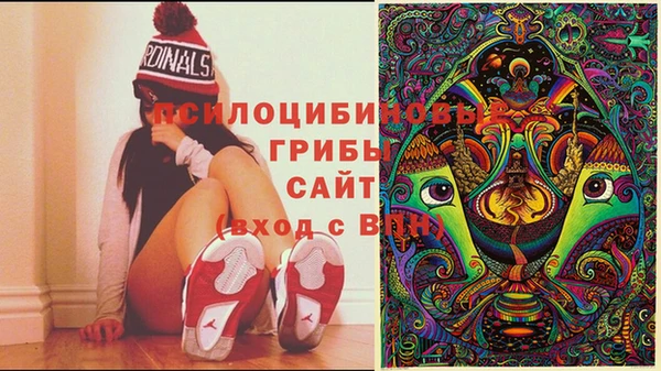 МДПВ Дмитровск