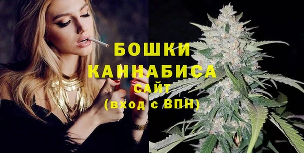 ПСИЛОЦИБИНОВЫЕ ГРИБЫ Дмитров