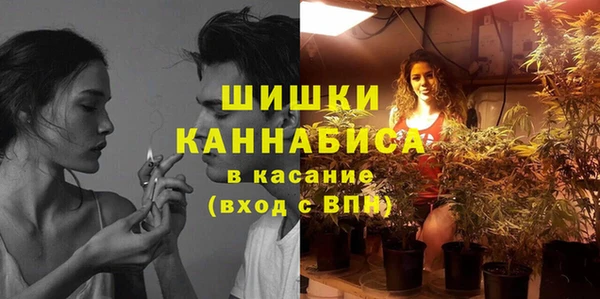 MESCALINE Гусь-Хрустальный