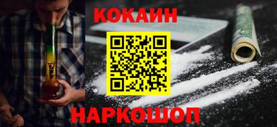 кокс Гатчина