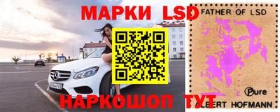 кокс Гатчина