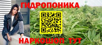 прущие крисы Гай
