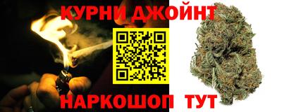 кокс Гатчина
