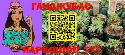 прущие крисы Гай