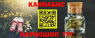 СК Гагарин