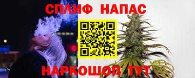 кокс Гатчина
