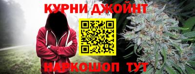 прущие крисы Гай