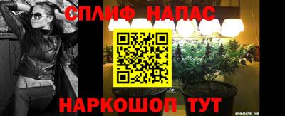 прущие крисы Гай