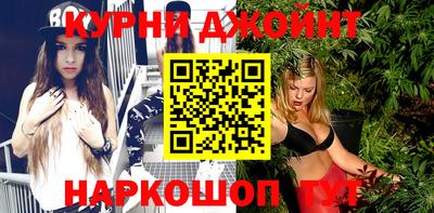 кокс Гатчина