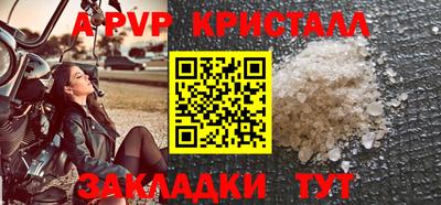 СК Гагарин