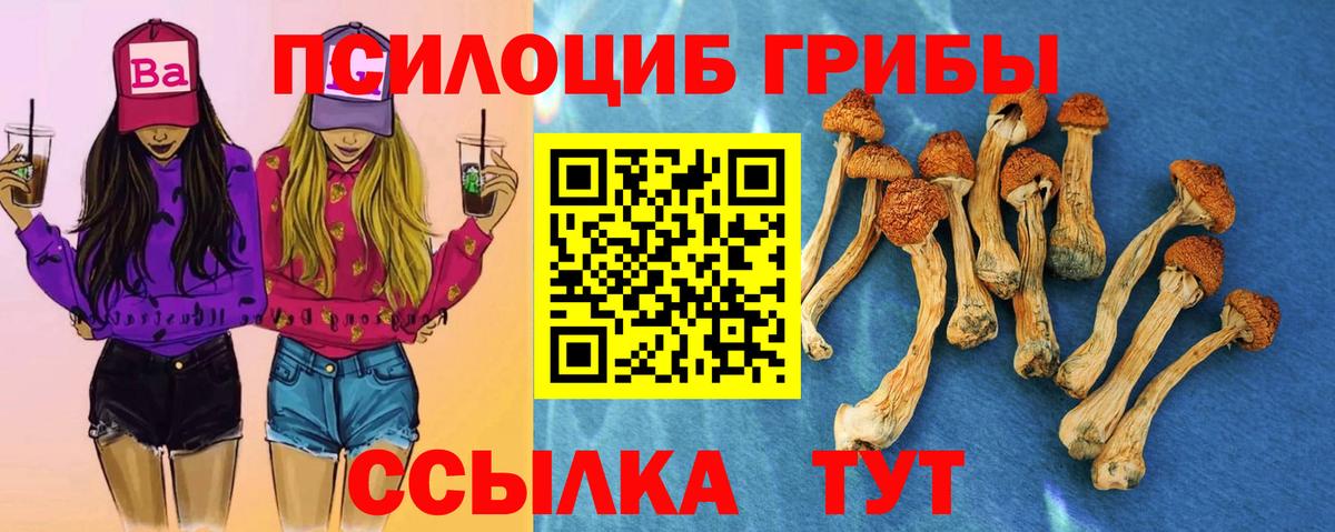хочу наркоту  Галлюциногенные грибы Psilocybine cubensis  Вход с VPN  Коряжма 