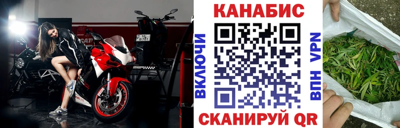 Марихуана план  Коряжма 